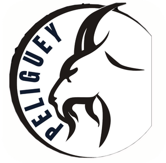 Escudo de LOS PELIGÜEY